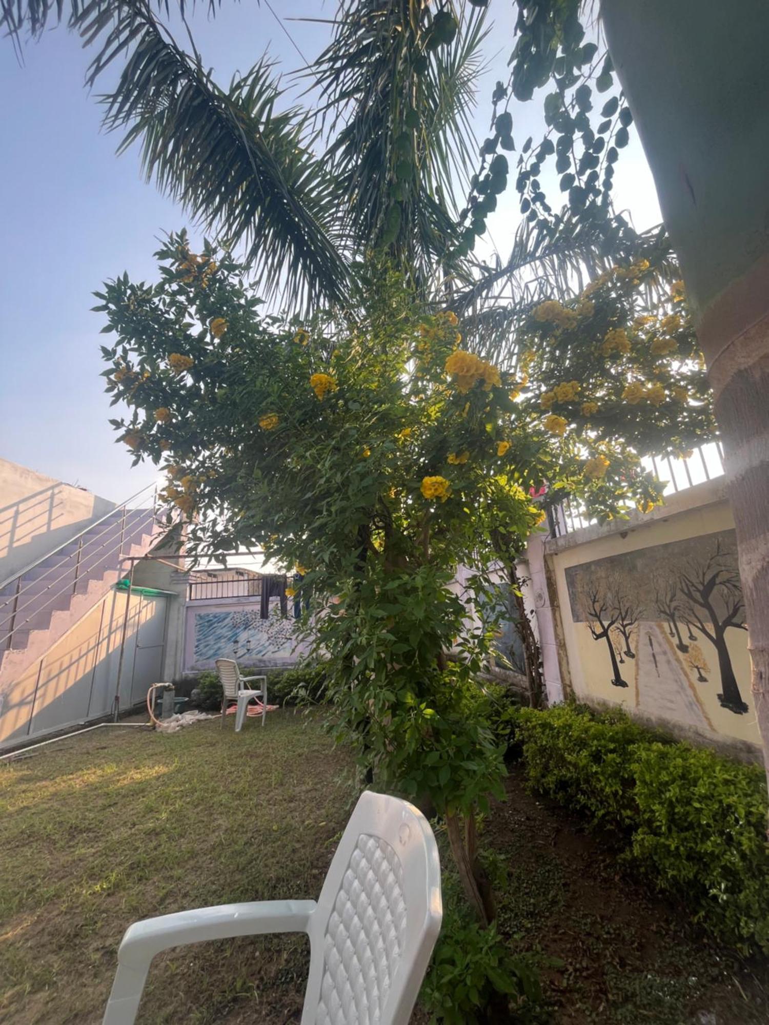 Sunrise Bed & Breakfast Khajuraho Bagian luar foto