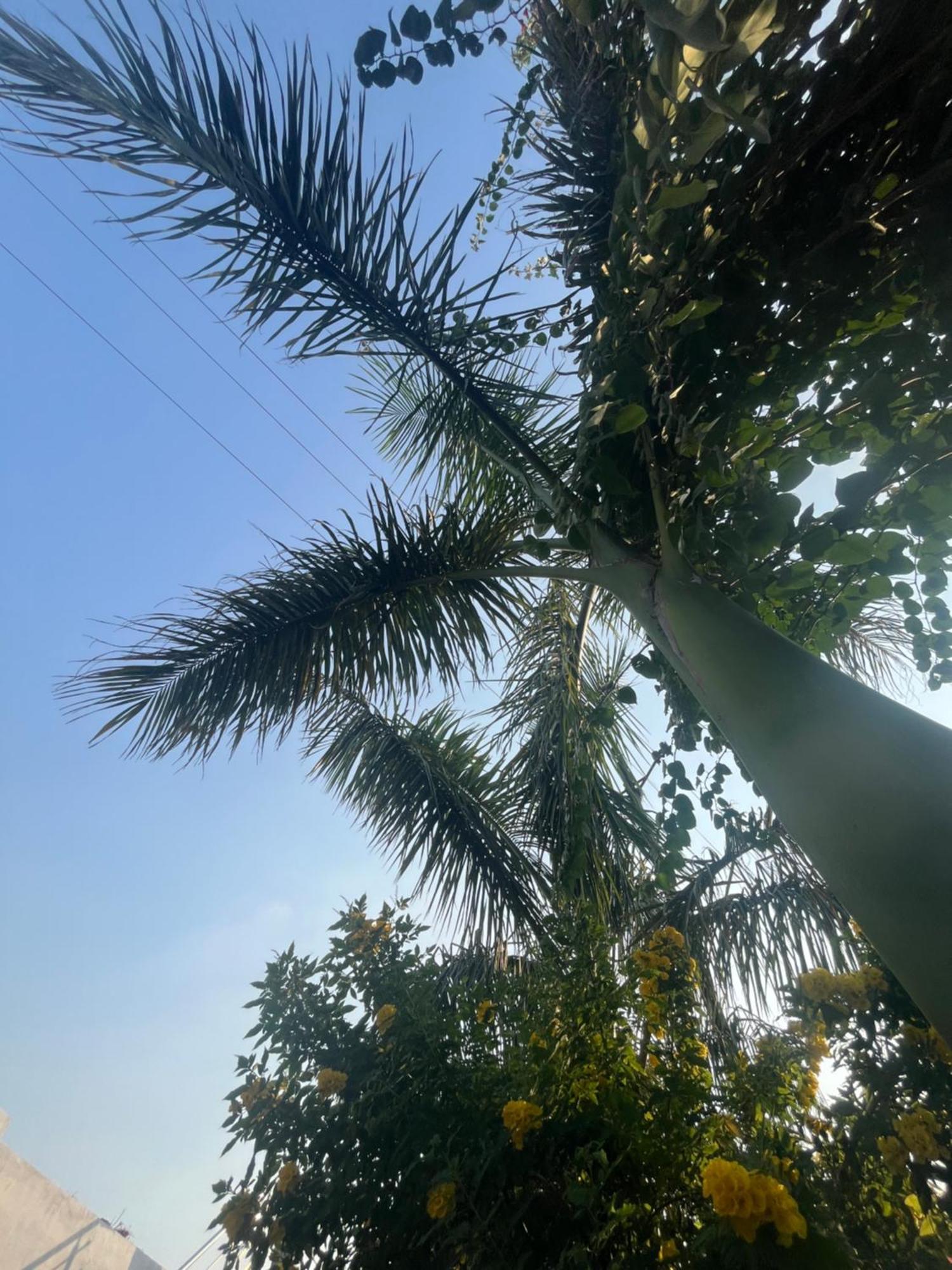Sunrise Bed & Breakfast Khajuraho Bagian luar foto
