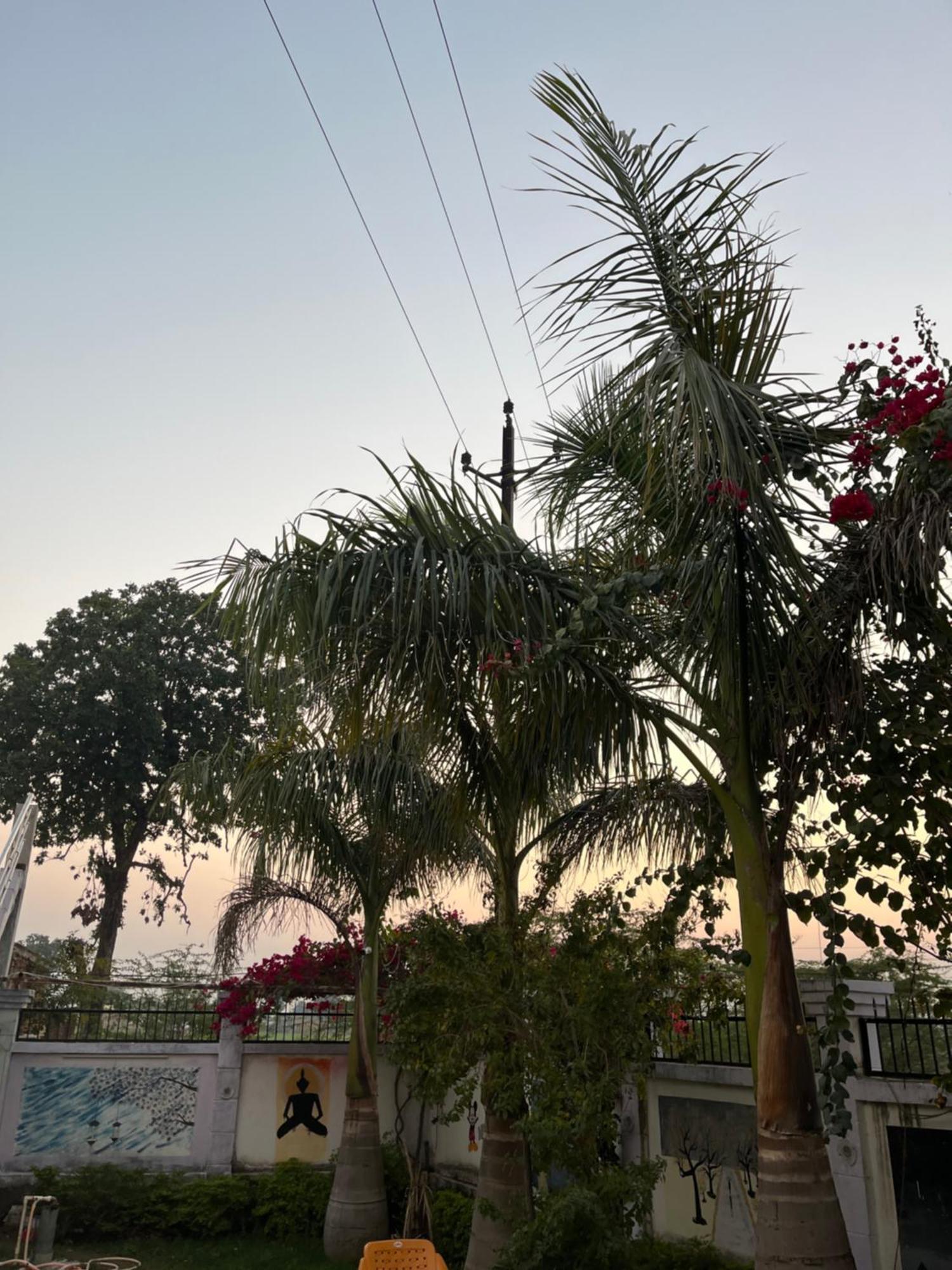 Sunrise Bed & Breakfast Khajuraho Bagian luar foto