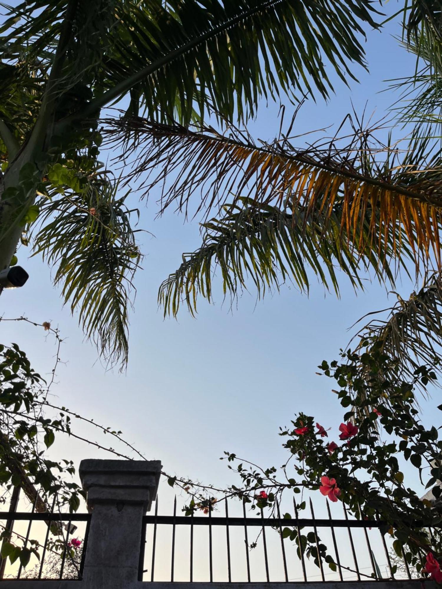 Sunrise Bed & Breakfast Khajuraho Bagian luar foto
